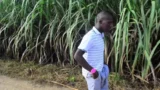 Riesiger Kerl fickt hart auf dem Feld